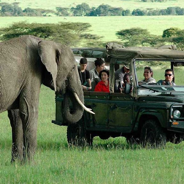 11 DAYS BEST SAFARI DESTINATIONS KENYA AND TANZANIA